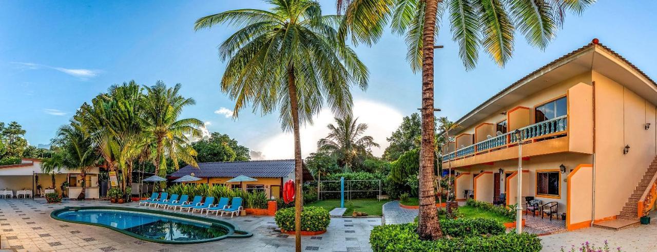 Coconut Resort Hotel パトン エクステリア 写真